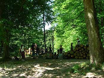 DSCN3018001001