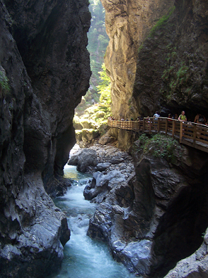 FFZ_2007_10