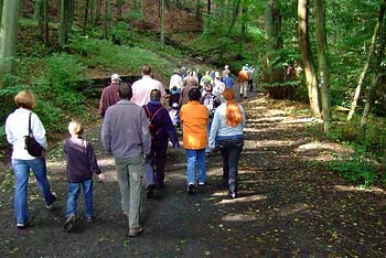 ITT_-Im-Wald