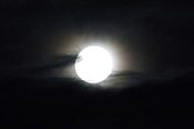 Immer vom Vollmond erleuchtet